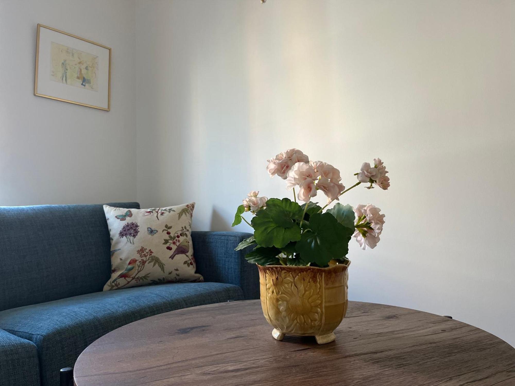 Ahusbrygga Apartment Hotel Eksteriør billede
